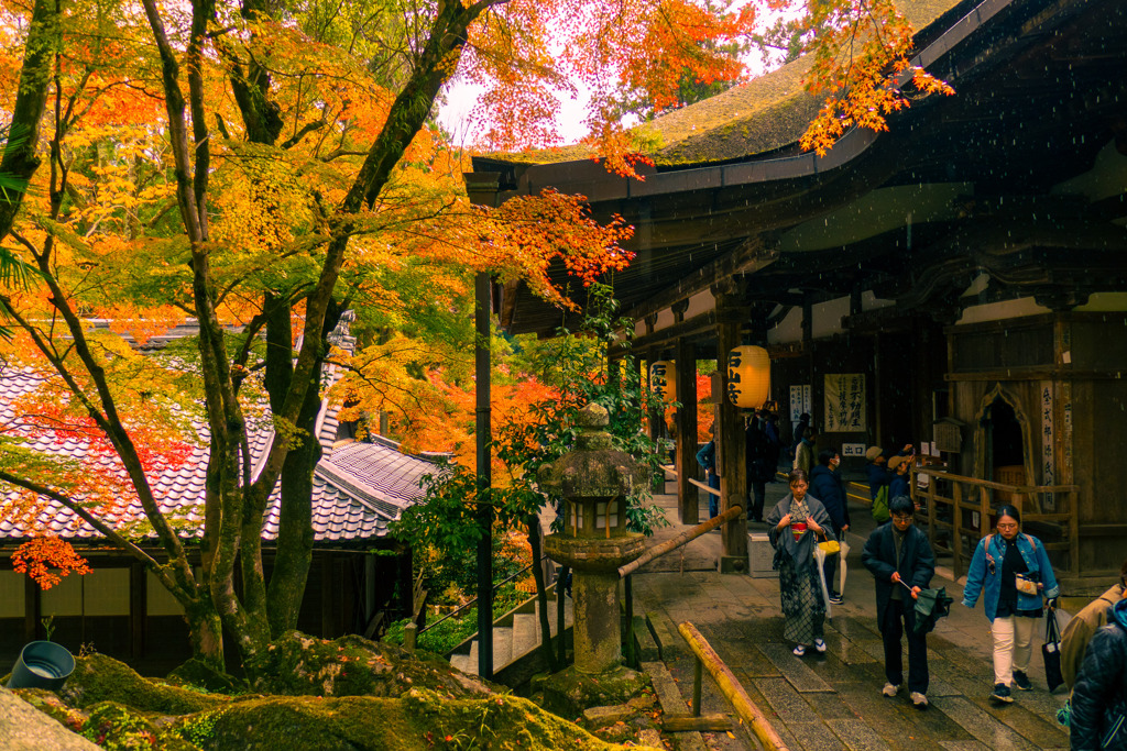 雨降る石山寺