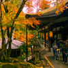 雨降る石山寺