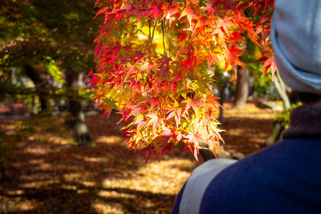 肩越しに見える光景