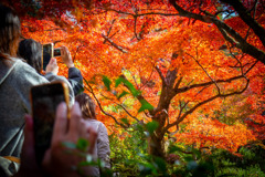 それぞれのレンズに収める秋①