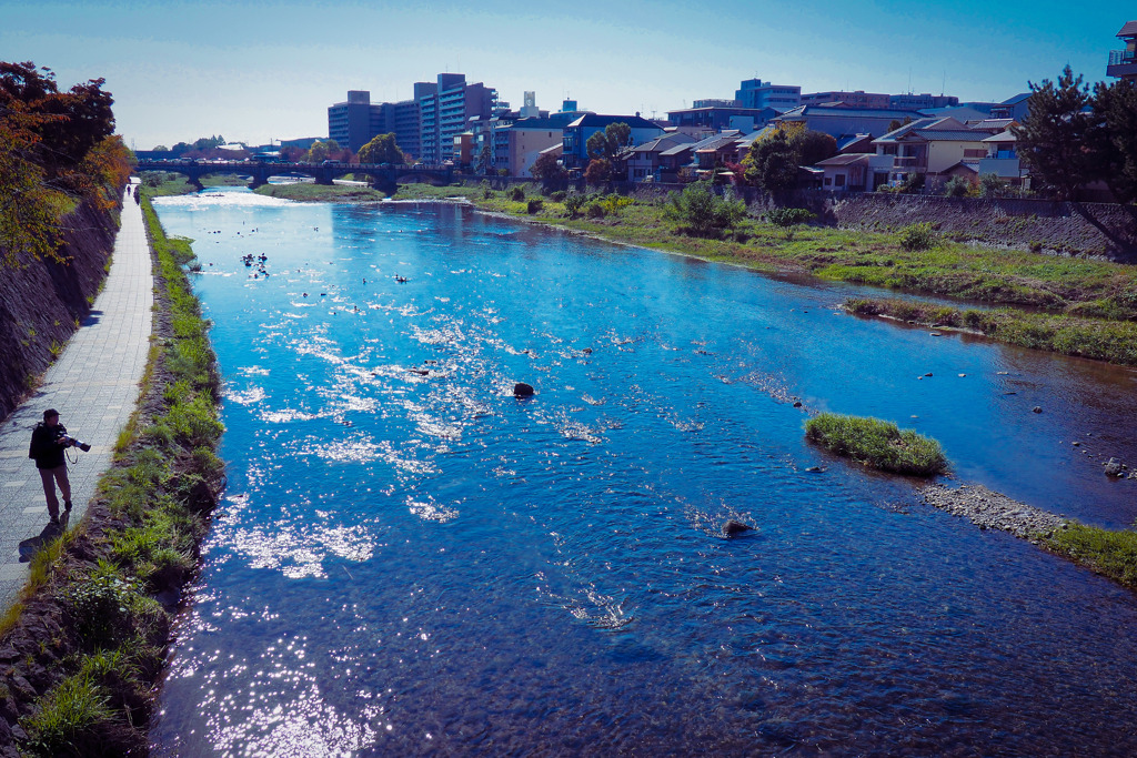 印象的な色合い