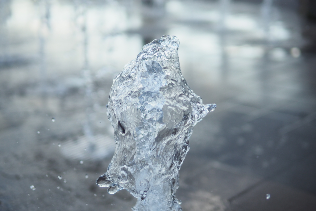 まるで凍り付いたように