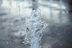 まるで凍り付いたように