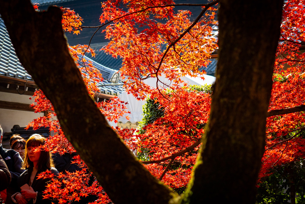その向こうの景色