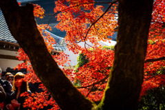 その向こうの景色