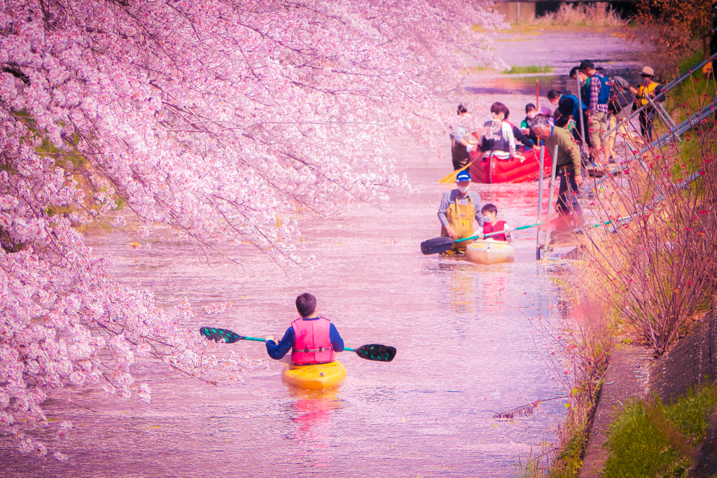 桜のある風景⑧
