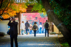 門が切り取る風景