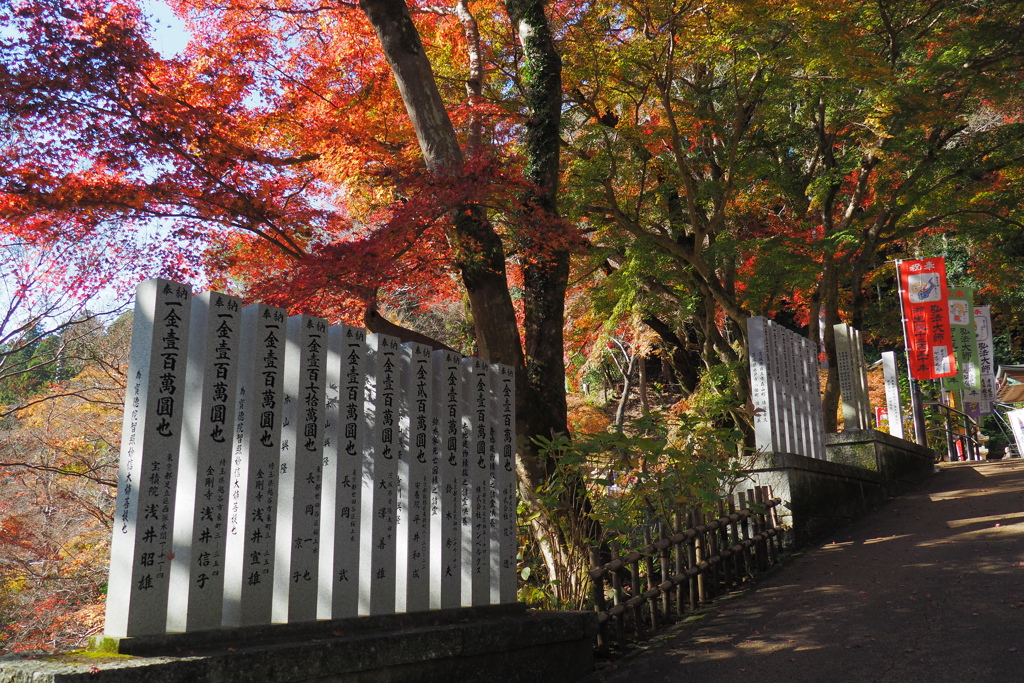 長谷寺にて(2022年12月)