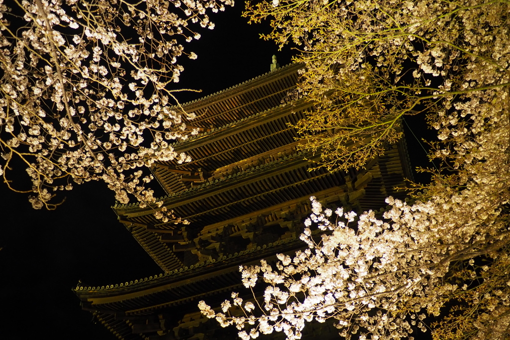 東寺にて⑦