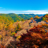 奈良県吉野山 (秋の風景②)