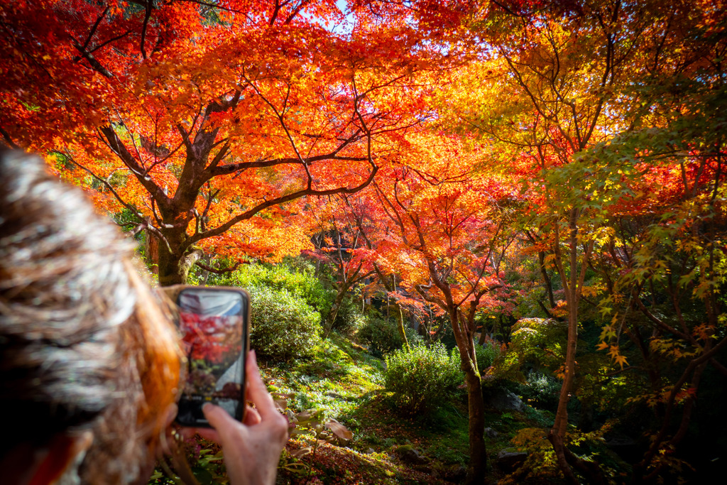 それぞれのレンズに収める秋②