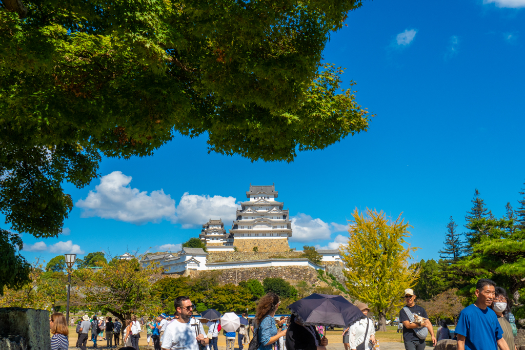 姫路城(世界遺産)　姫路城を臨む