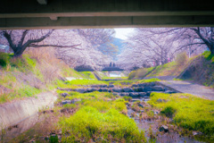 橋の向こう