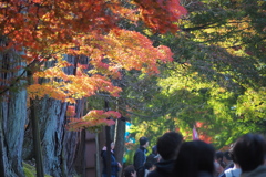 東福寺参道の彩