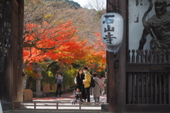 石山寺-仁王門①-