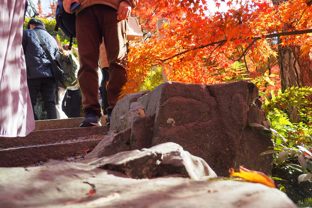 ん？　中央に顔？