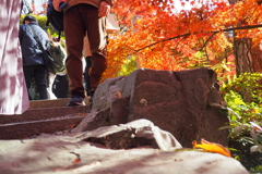 ん？　中央に顔？