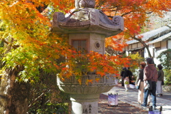 石山寺-仁王門からの道③-