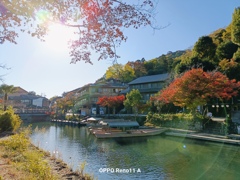 京都嵯峨野嵐山 -船乗り場-