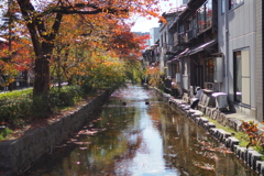 京都高瀬川の軒先で