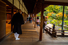 醍醐寺-三宝院庭園-