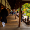 醍醐寺-三宝院庭園-