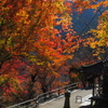 彩①(12月の長谷寺)