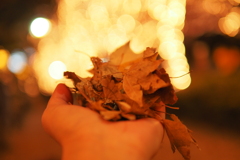 かつてあった京都のイルミネーション