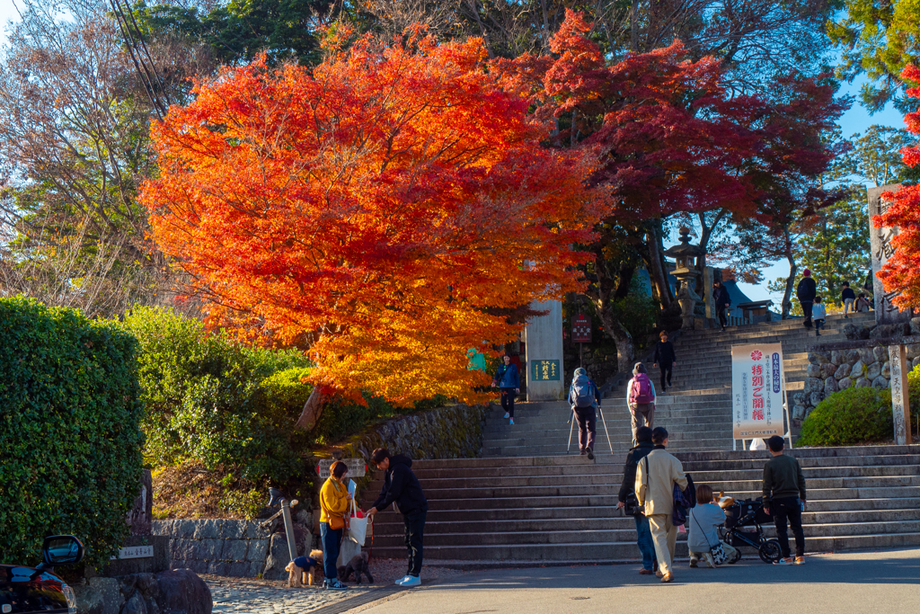 奈良県(金峯山寺蔵王堂への参道)