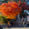 奈良県(金峯山寺蔵王堂への参道)