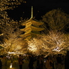 東寺にて④