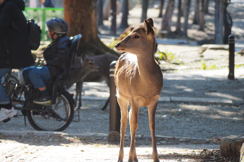 朝の光に包まれて