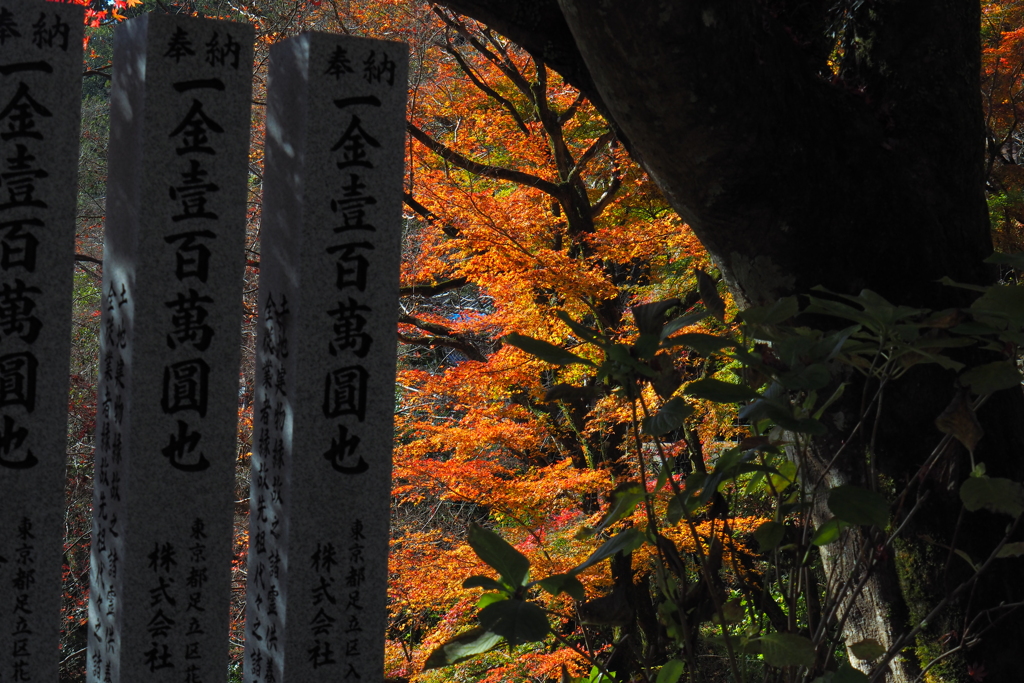 長谷寺にて(2022年12月)