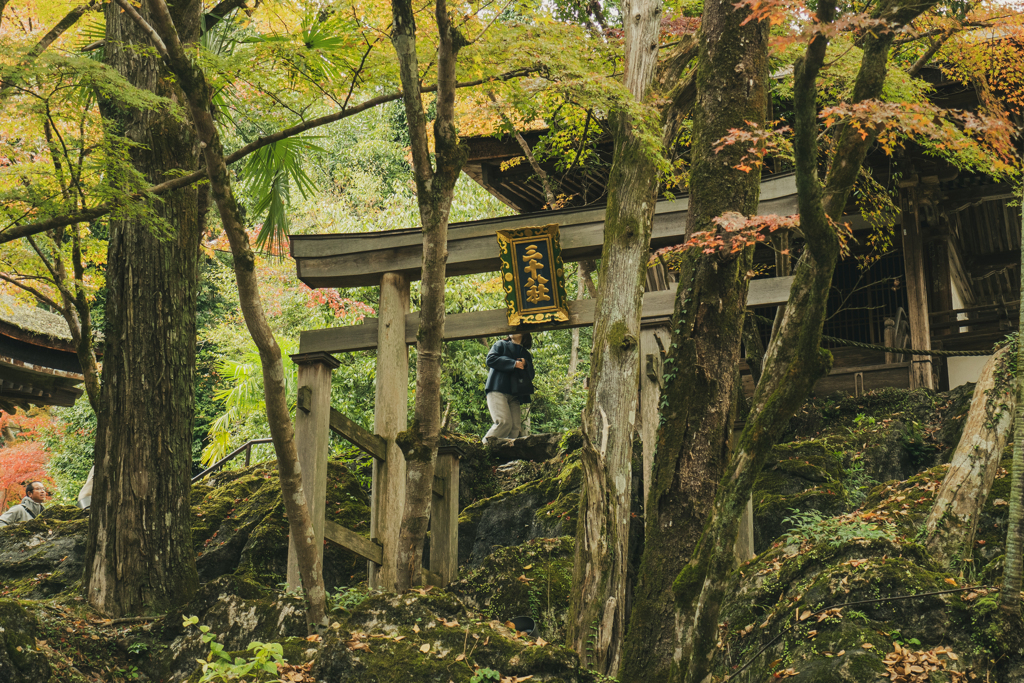 石山寺　紅葉２０２４ 社