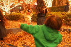 暖かい光に包まれた公園にて。