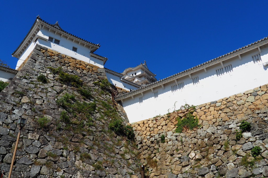 姫路城(世界遺産)　城壁沿いに②