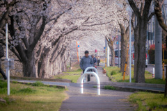 春のさんぽ道