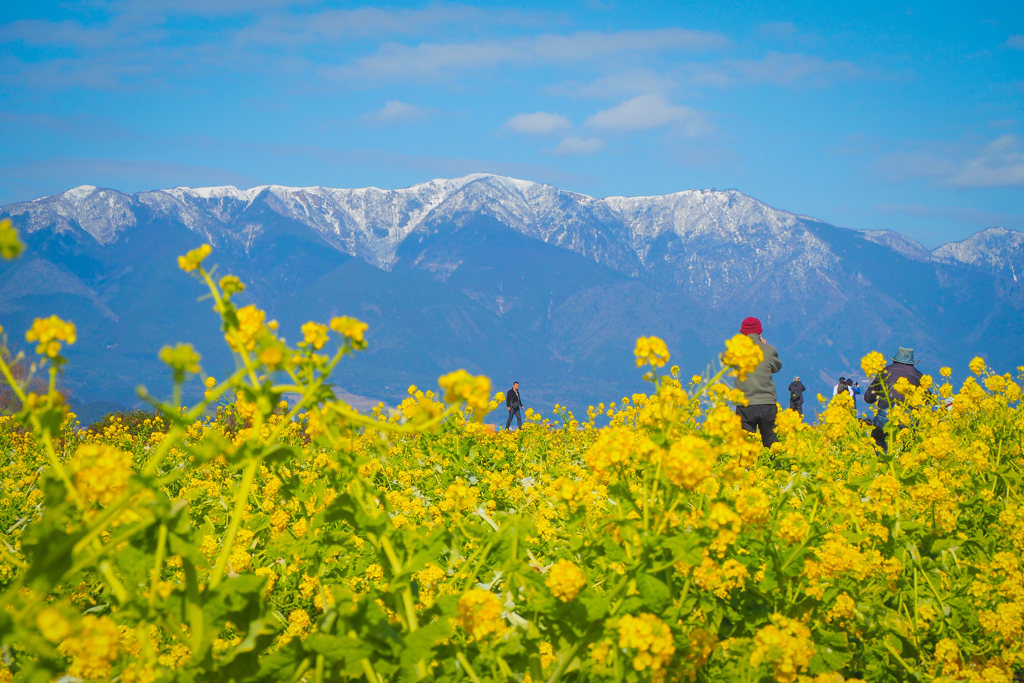 琵琶湖の東岸から①
