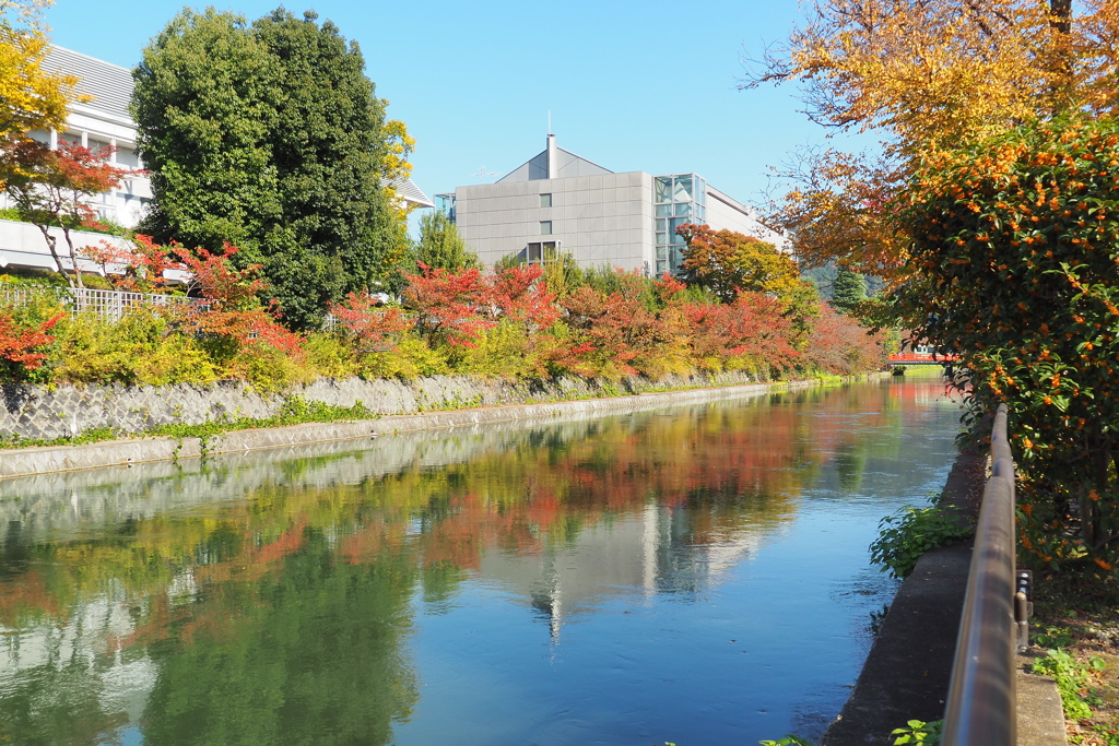 京都散歩　岡崎エリア