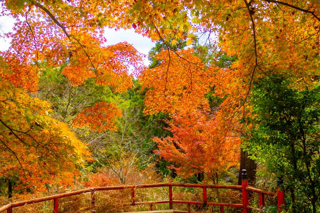 石山寺　彩色