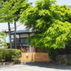 新緑①
