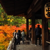 石山寺　初紅葉２０２４