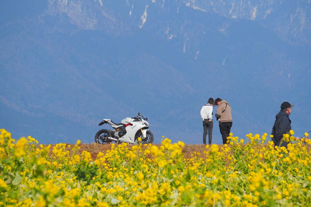 琵琶湖の東岸から②