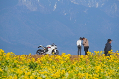 琵琶湖の東岸から②