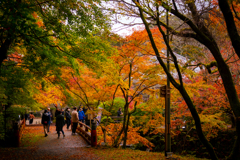 醍醐寺