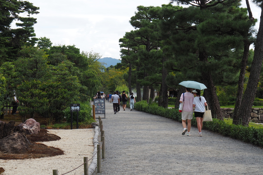 元離宮二条城(京都府)　清流園①