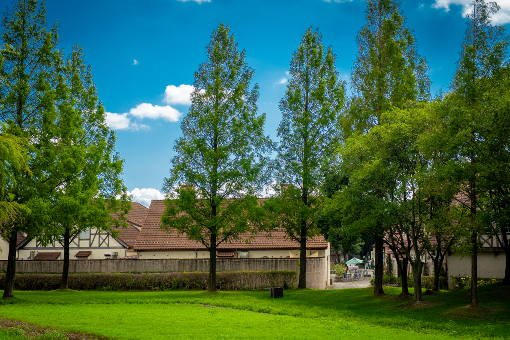 欧風農業公園②