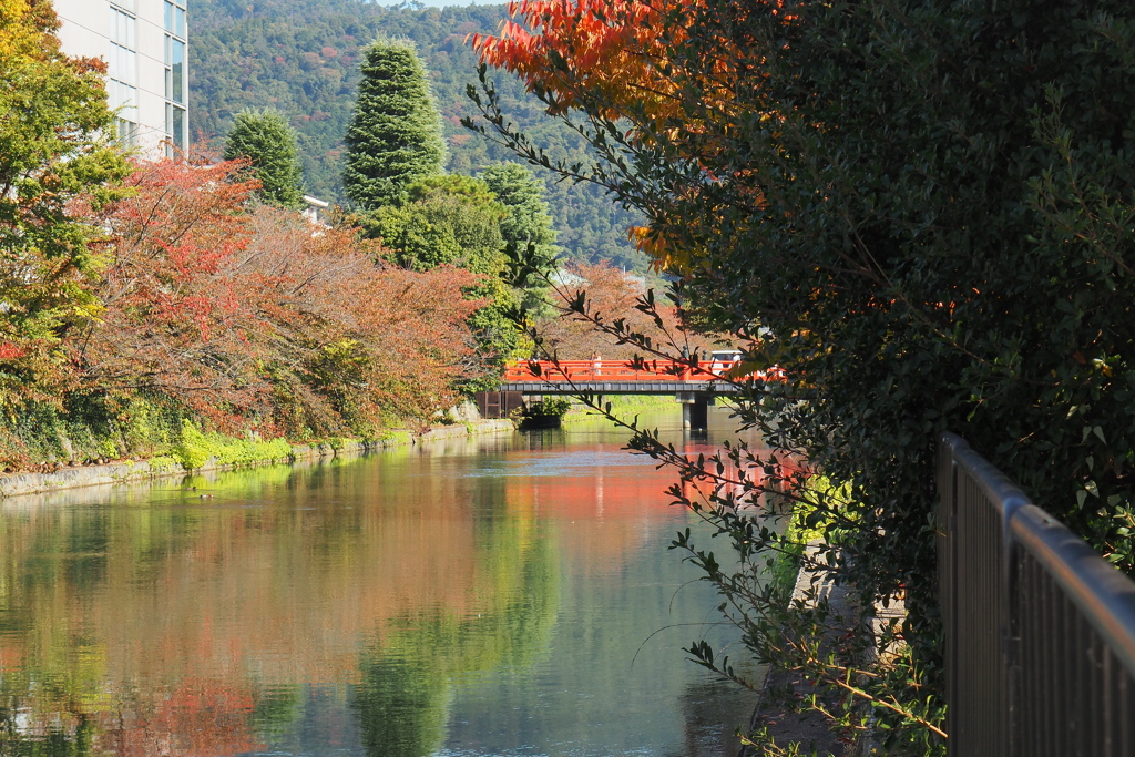 京都散歩　朱塗りの橋が映える