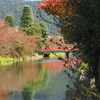 京都散歩　朱塗りの橋が映える