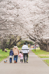 家族の思い出